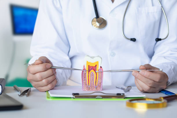 Best Urgent Care for Lost Fillings or Crowns in Tahoka, TX